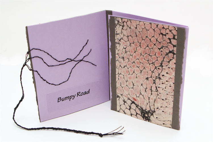 Bumpy Road, artist's book by Cristina Hajosy