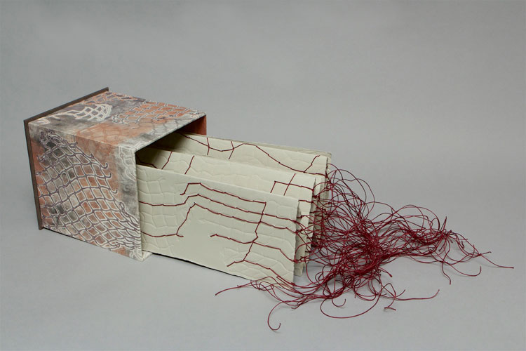 Virginia, 2024 an artist's book by Cristina Hajosy