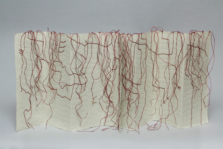 Virginia, 2024 an artist's book by Cristina Hajosy
