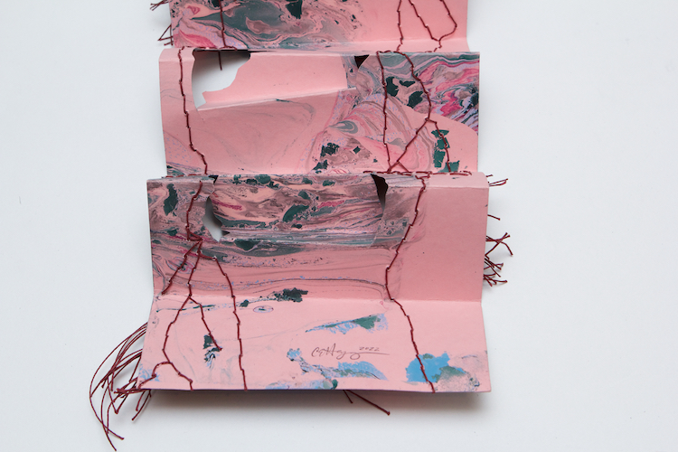 Big Little Worlds 1, artist's book by Cristina Hajosy