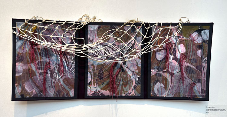 Emergent, artist's book by Cristina Hajosy