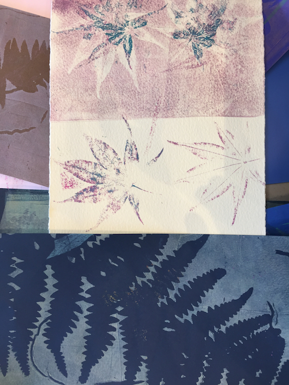 Botanical Printmaking – Eliot School – Oct. 9-30