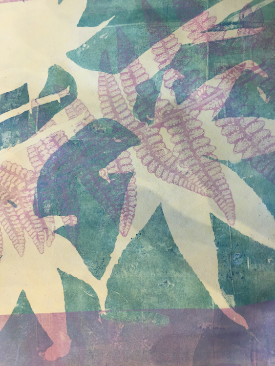 Botanical Printmaking – Eliot School – Oct. 9-30